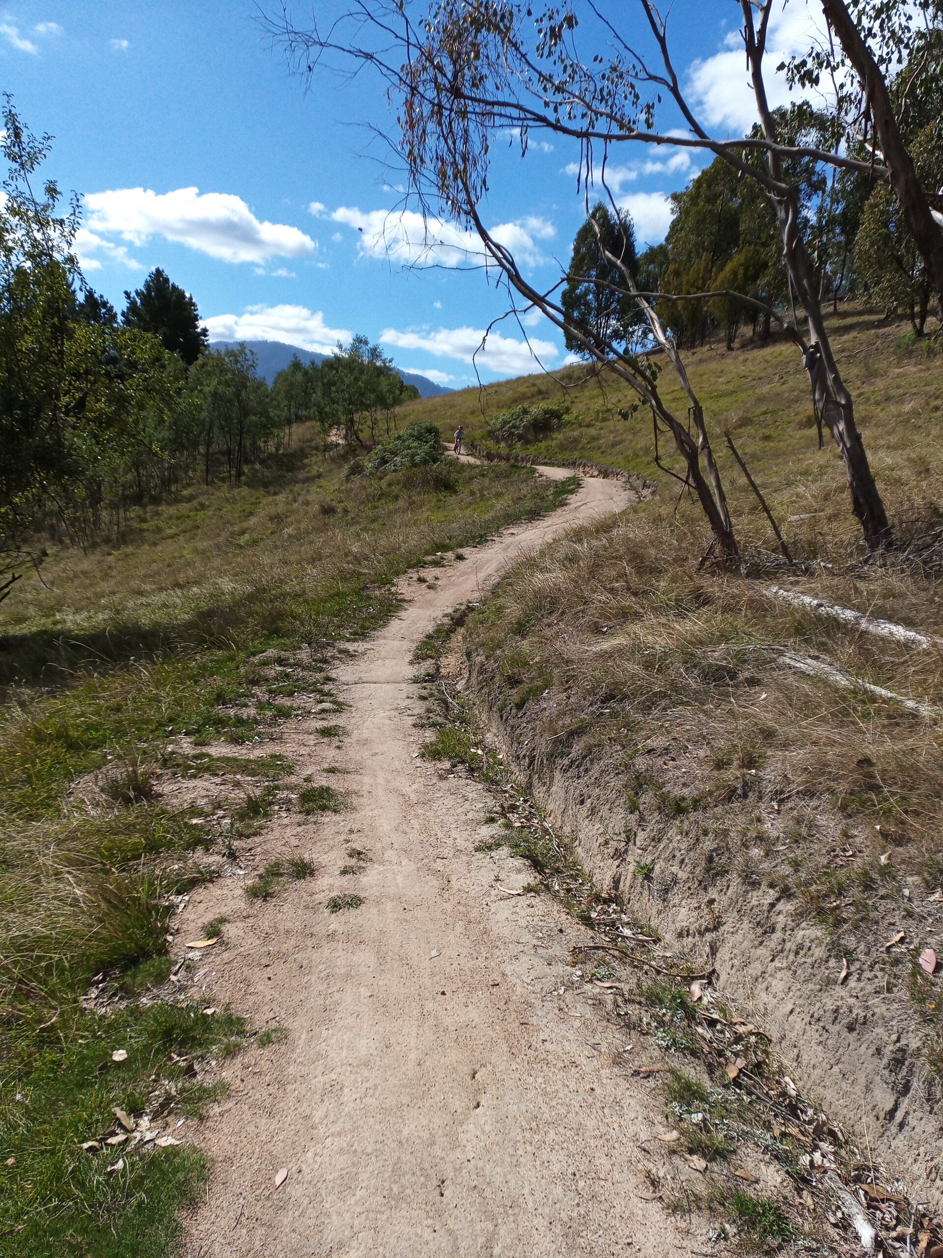 Rider coming down a flowing MTB track at Big Hill