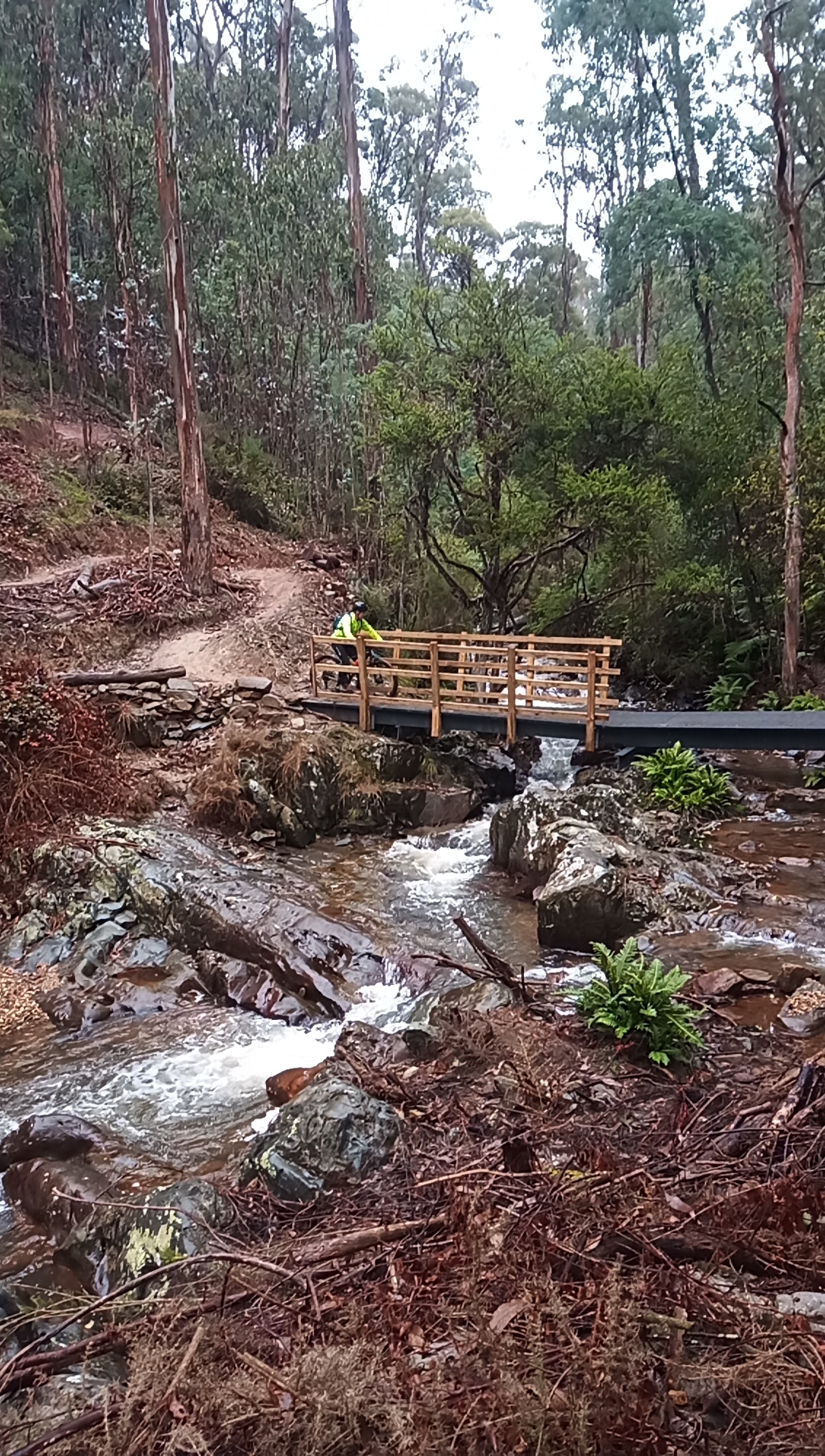 MTB rider crosses a bridge over a bubbling creek on the Indigo Epic