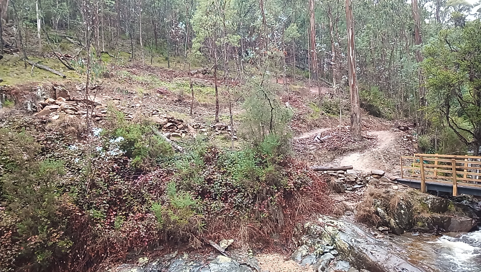MTB trail descends to bridge over creek on the Indigo Epic