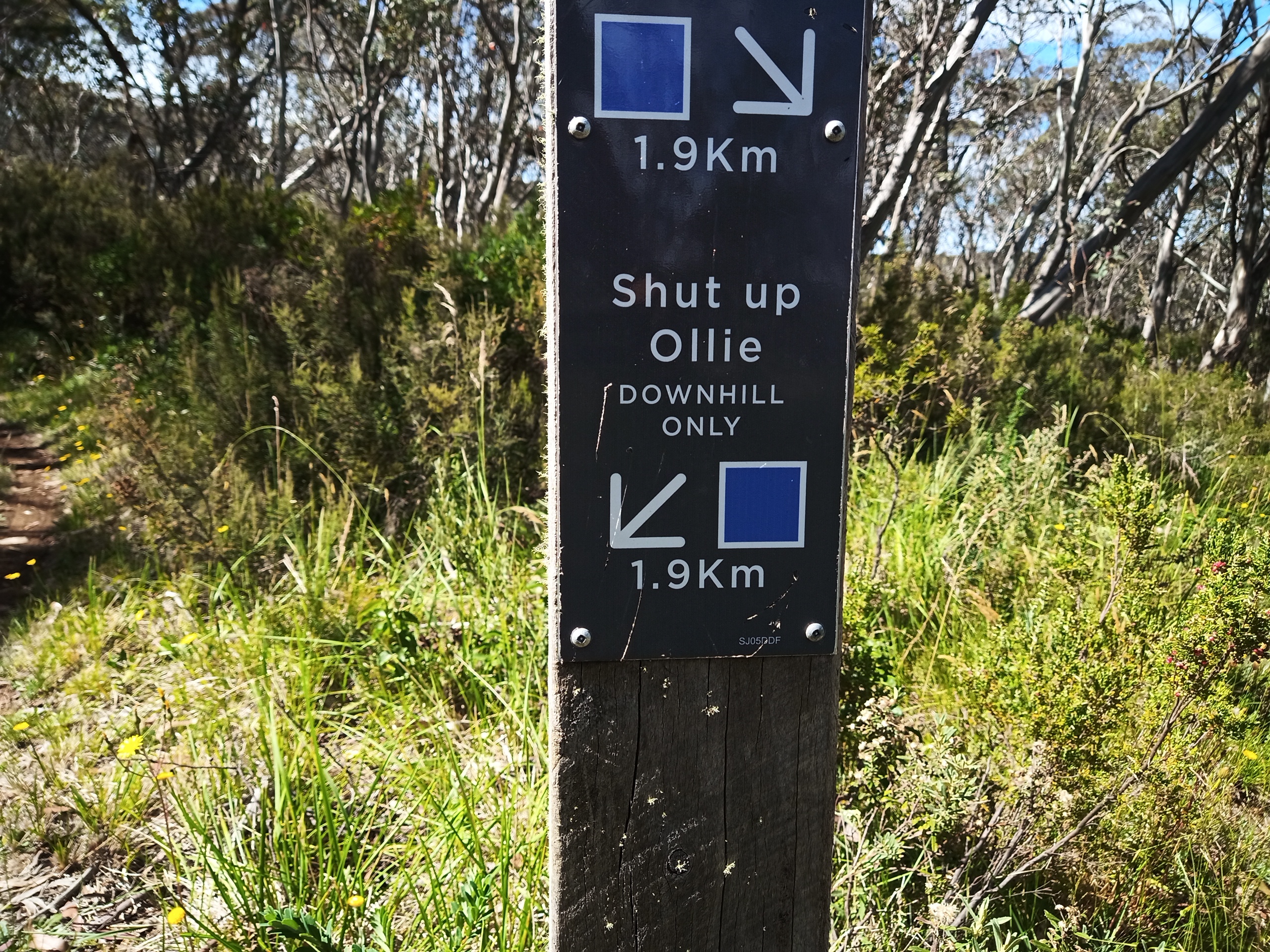 Trail signpost at Dinner Plain