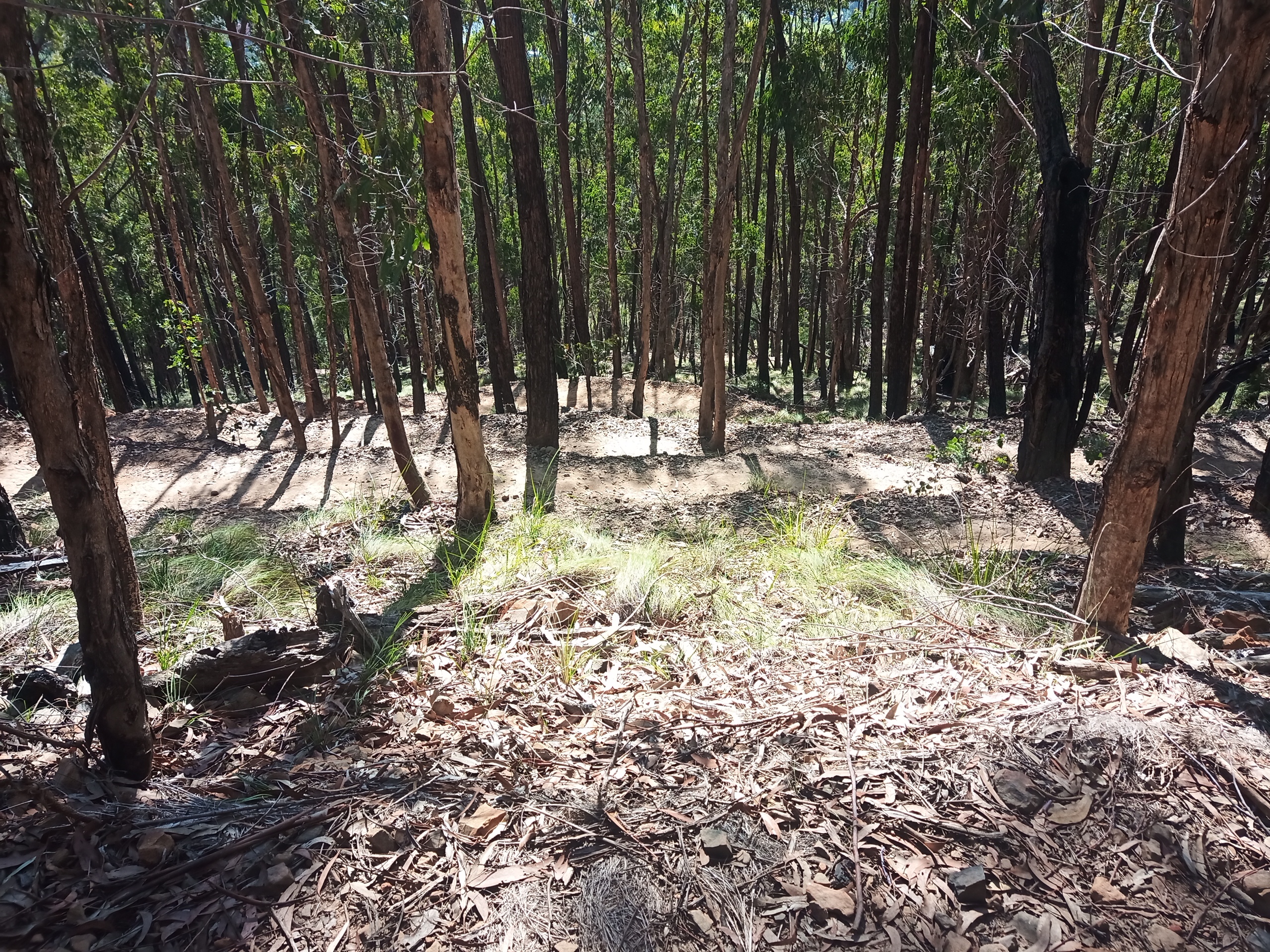MTB trails and switchbacks
