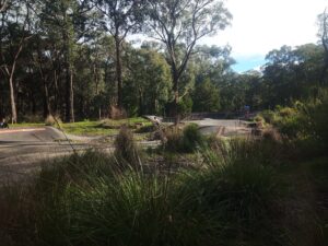 Forrest img 20260704 133425 321