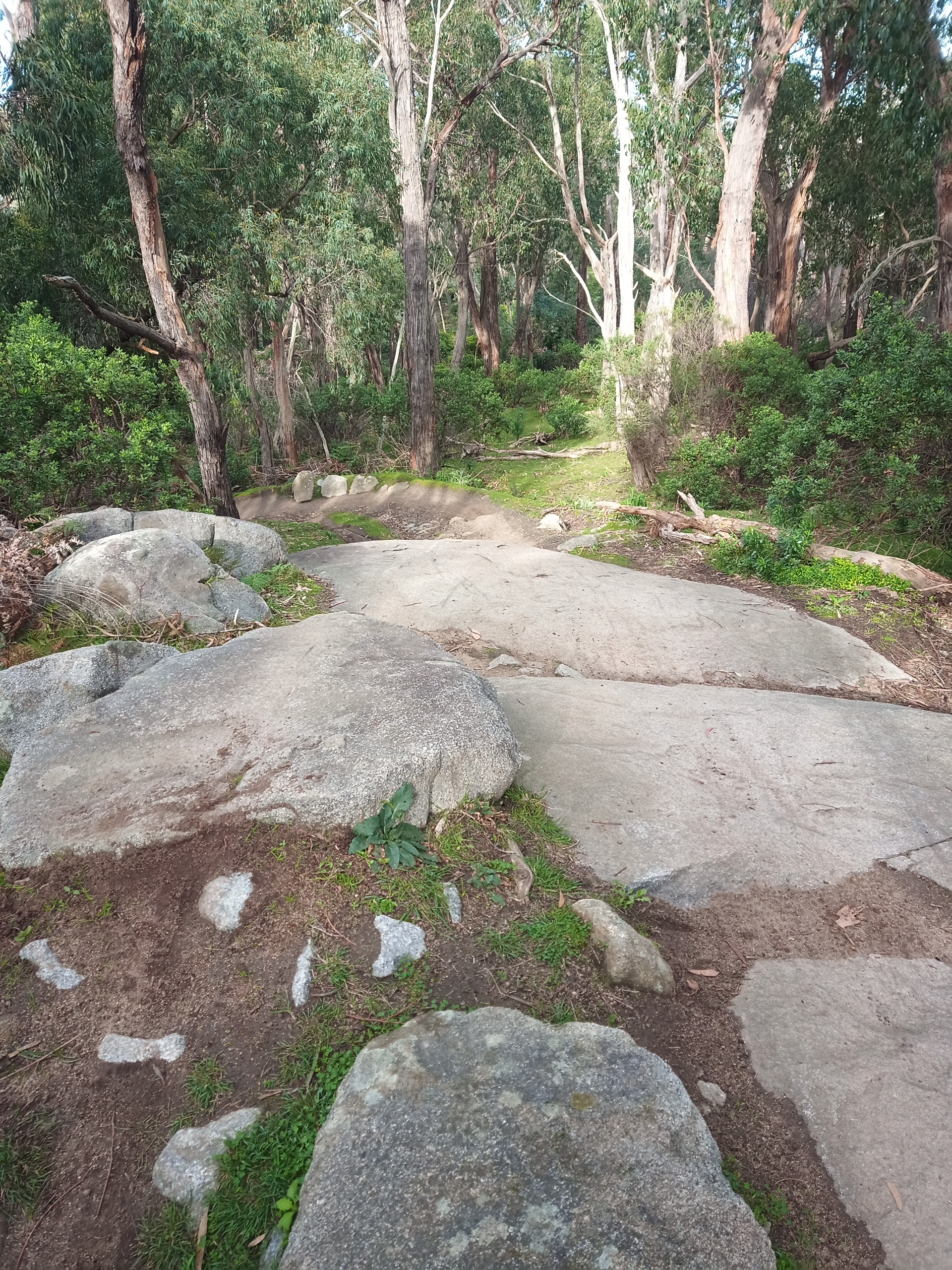 An ominous rocky feature at Lysterfield