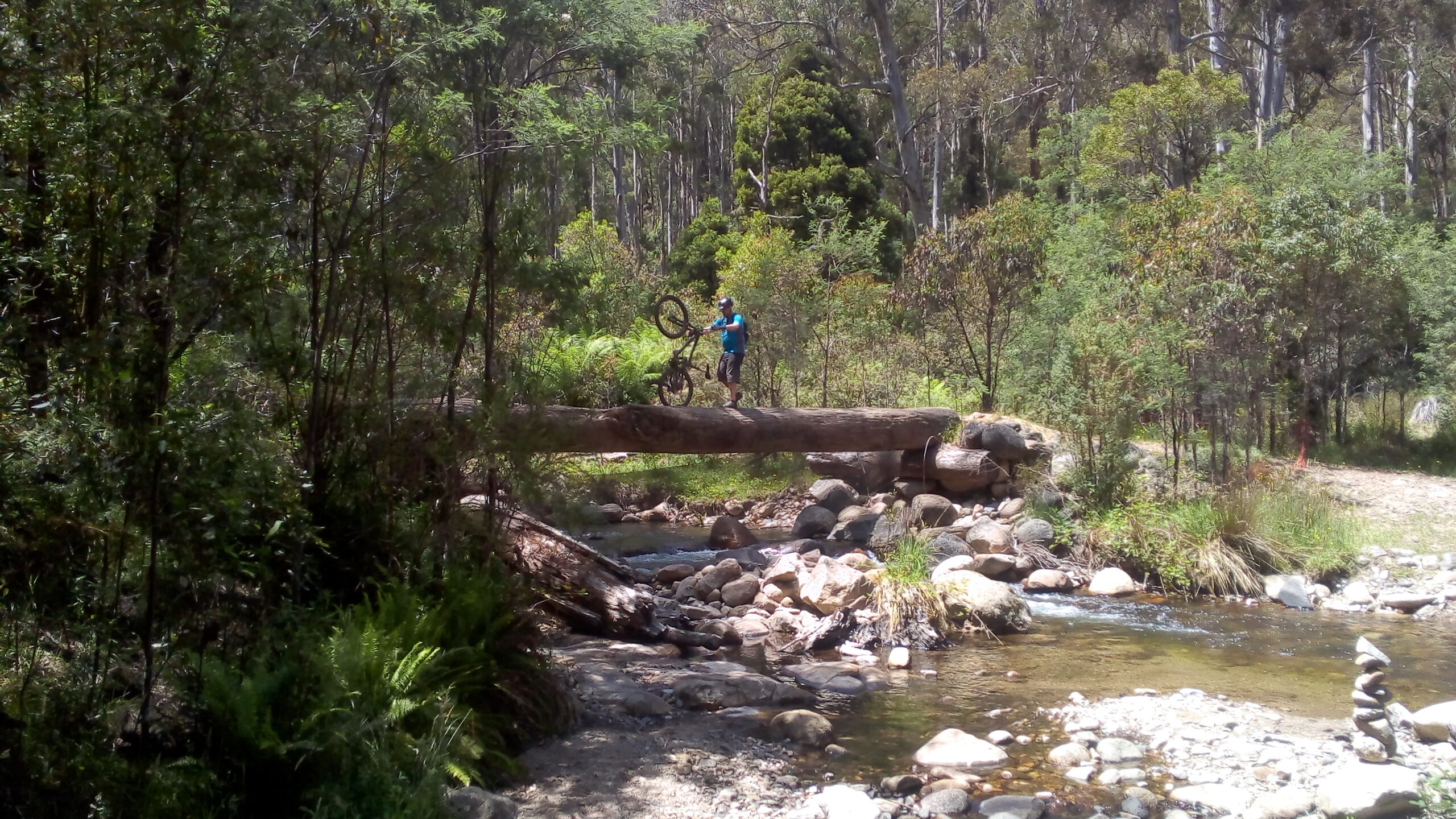 Rider carefully wheels their bike across a log over a river at Mt Buller