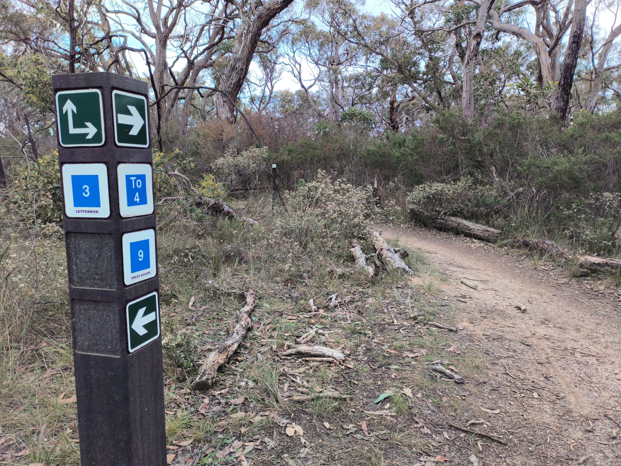Anglesea Trail signs at Anglesea mark the junction of multiple tracks