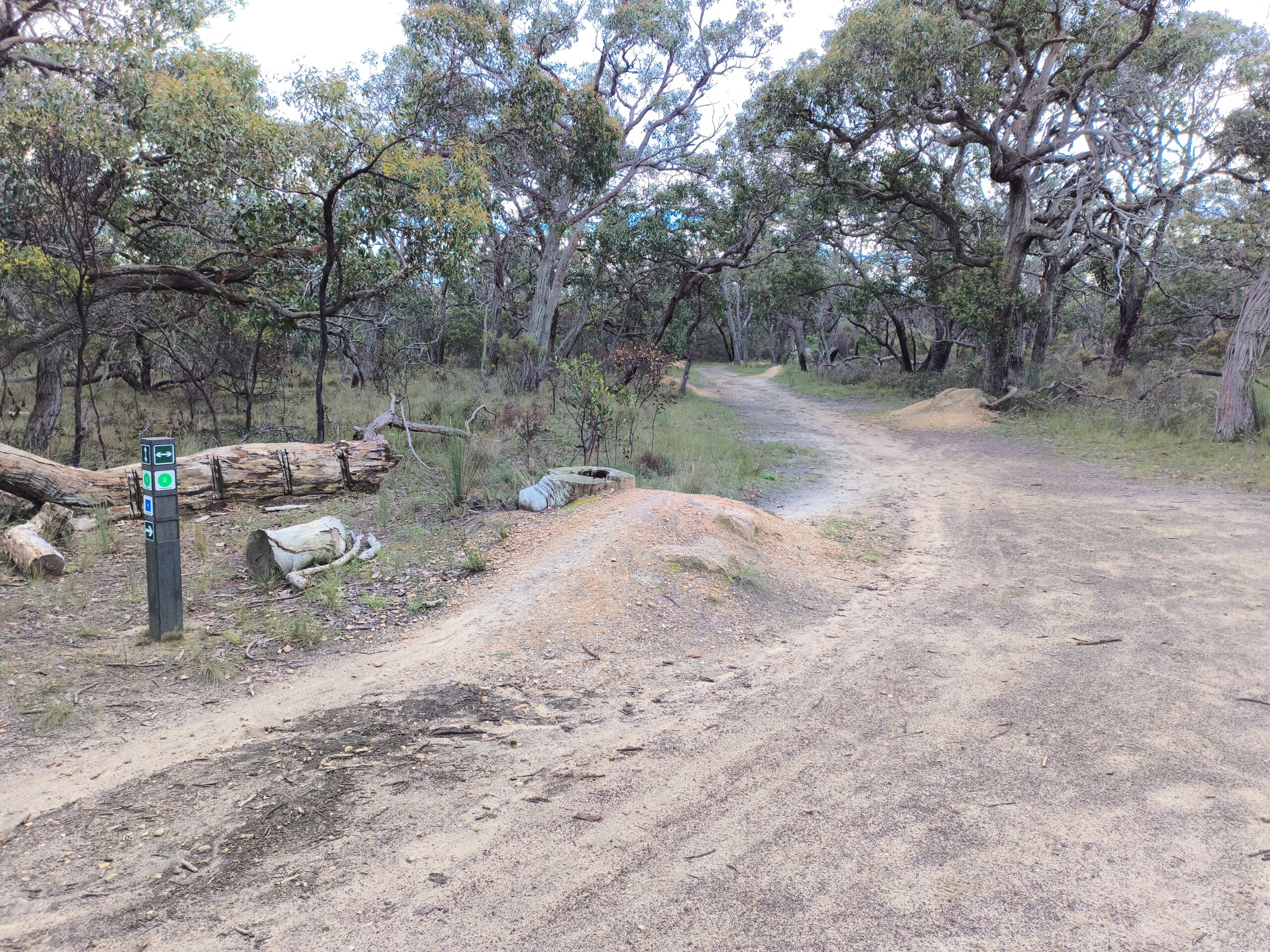 Anglesea Track 2 at Anglesea with skills features and easy riding for families
