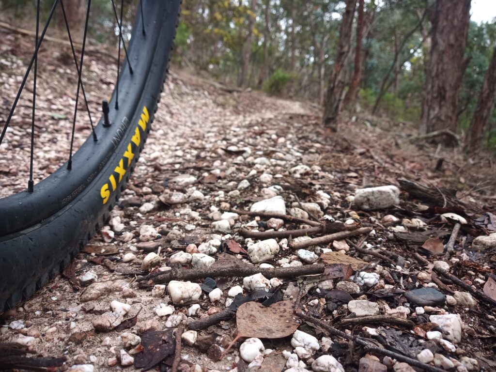 Squirrel-head sized rocks on trail next to Maxxis tyre
