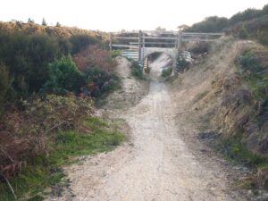 Track runs through a tunnel at Haunted Hills