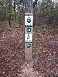 Trail signpost pointing to green trails 1 and 12
