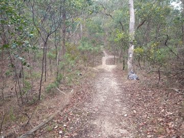 Tabletop feature on trail at Blores Hill