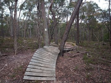 Wooden feature between trees at Blores Hill
