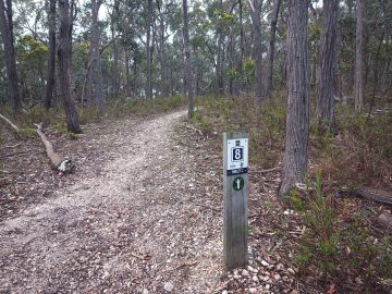 East track and signpost at Blores Hill