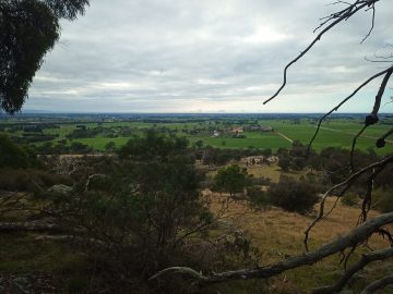 View across green fields from Blores Hill