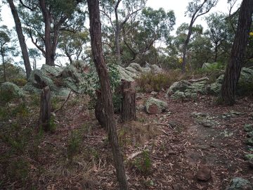 The Trig Track cuts through lichen covered boulders at Blores Hill
